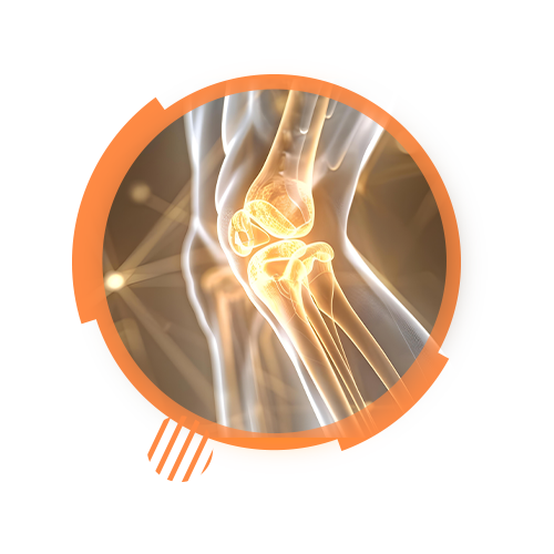 อาหารเสริมบำรุงกระดูกและข้อ